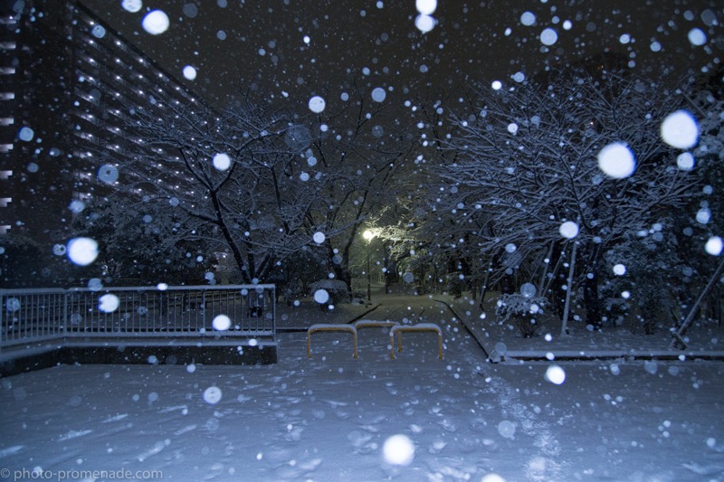 ストロボを使って雪降る幻想的な東京を撮った ふぉとぷろむな ど