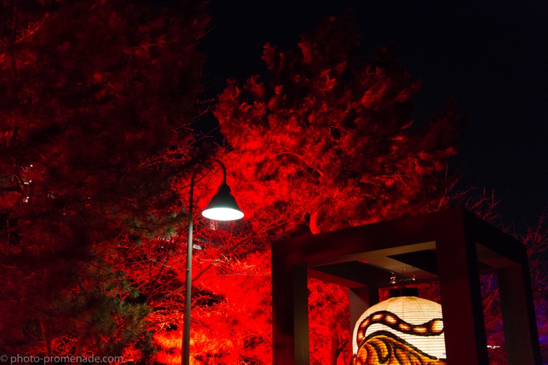 Hokusai Tokyo 水辺を彩る江戸祭 に行ってきた ふぉとぷろむな ど
