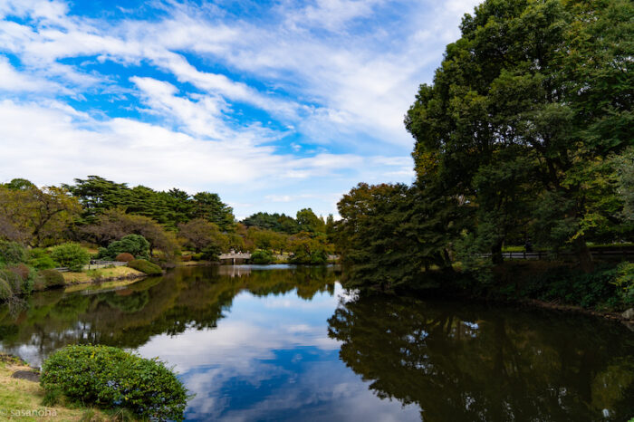 新宿御苑の池に映る青空